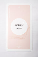 Le Jeu des Émotions – Image 11