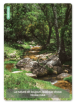 Le Jeu des Intelligences photo langage