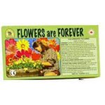flowers are forever jeu coopératif