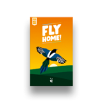 fly home jeu cooperatif