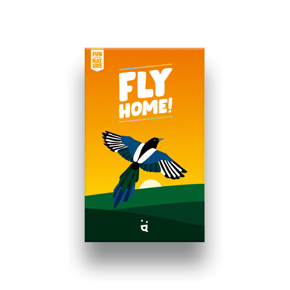 fly-home-jeu cooperatif