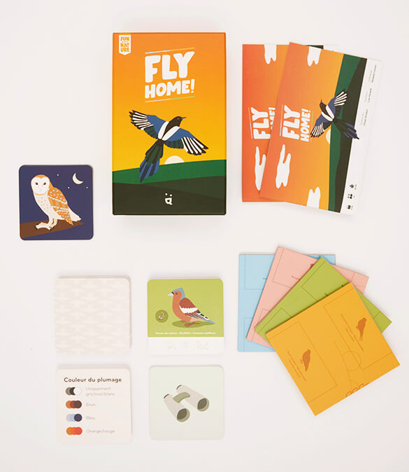 fly_home_cartes 2