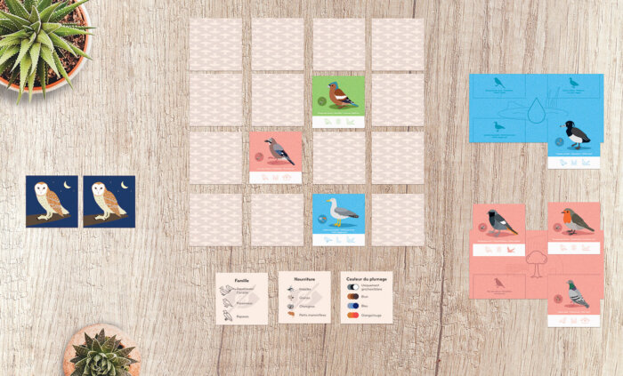 Fly Home ! – Image 4