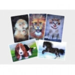 la voix du coeur cartes outil relationnel