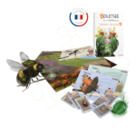 Roletime - La Plaine des Bourdonnements jeu cooperatif