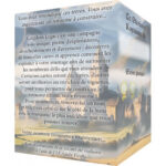 kingdom-legacy-vf-jeu-de-plateau-cooperatif-int