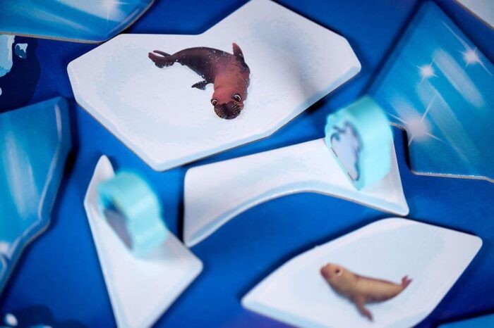 Glisse Banquise-jeux-cooperatifs int2