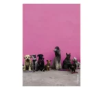 Photo-langage Vivre Ensemble – Image 4