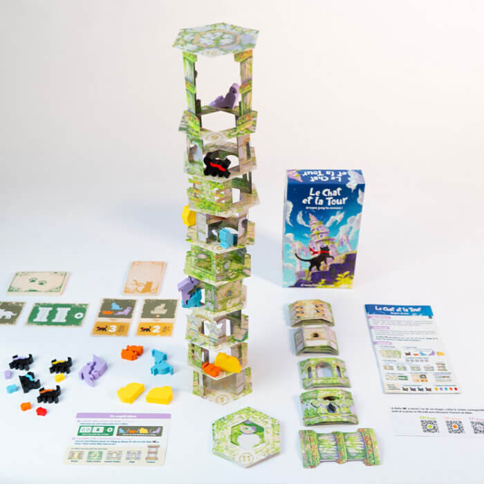 le chat et la tour jeu cooperatif d adresse